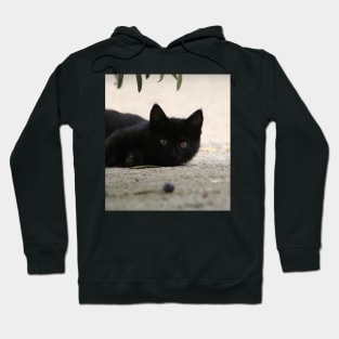 Black Kitten Playing with Black Olives Hoodie